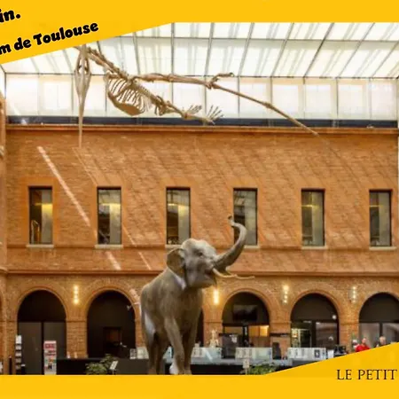 Apartment Le Petit Palais Au Calme Proche Metro/tram • Wifi *