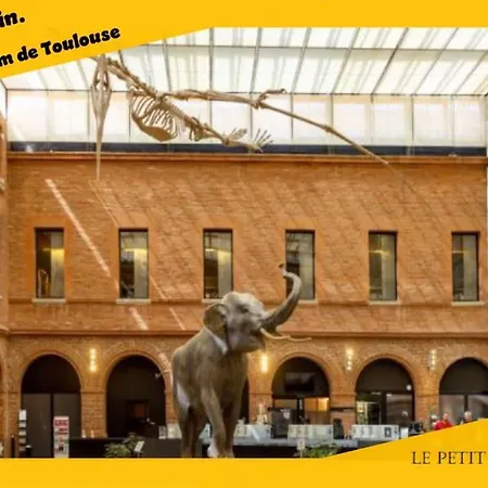 Le Petit Palais Au Calme Proche Metro/tram • Wifi Apartment